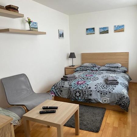 Cely Dum V Historickem Centru Loun Apartment Louny Ngoại thất bức ảnh